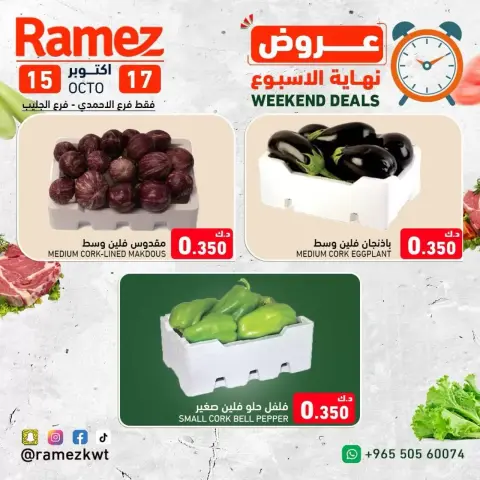 صفحة 5
