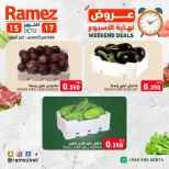 صفحة 14