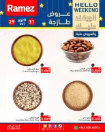 صفحة 13