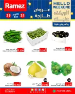 صفحة 16
