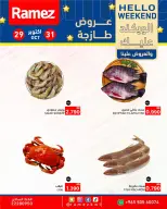 صفحة 17