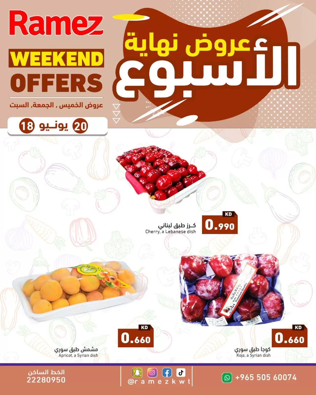 صفحة 3