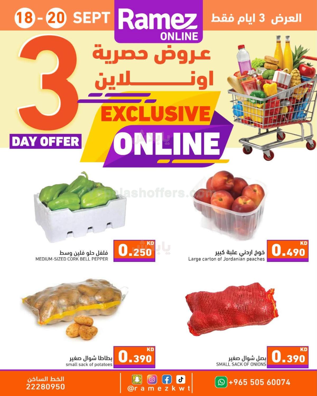 صفحة 1