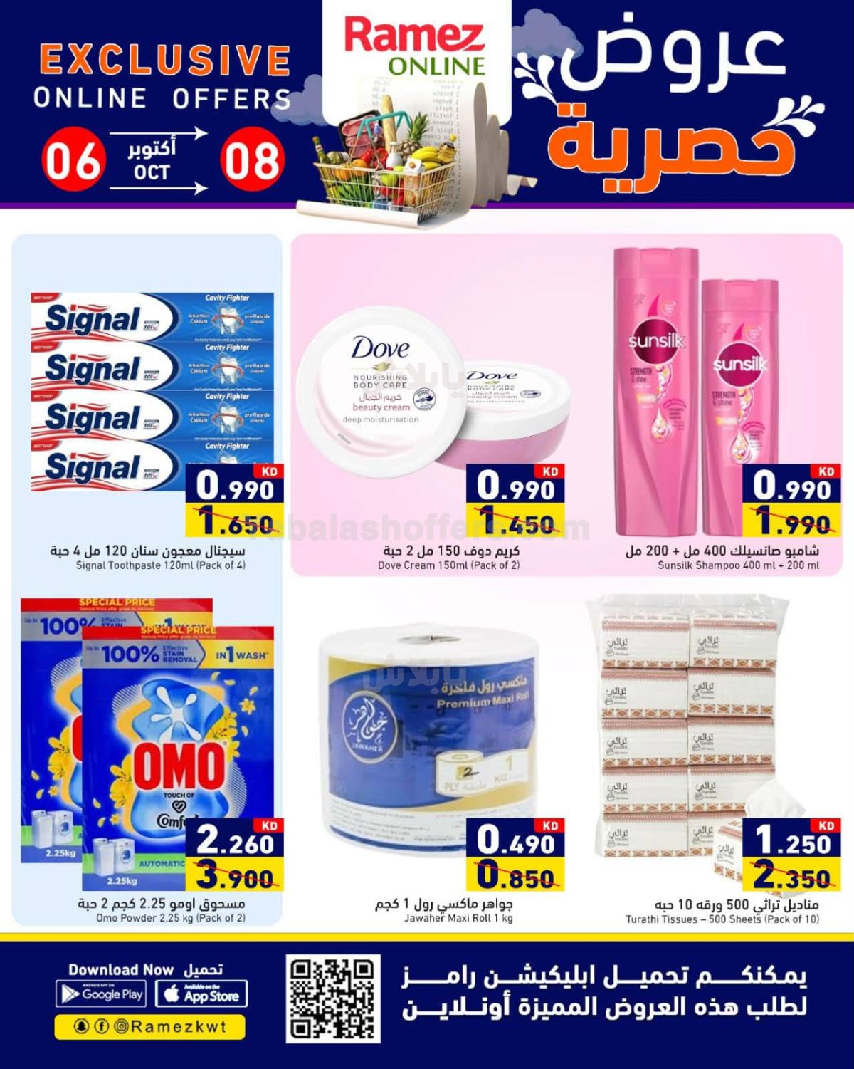 صفحة 3