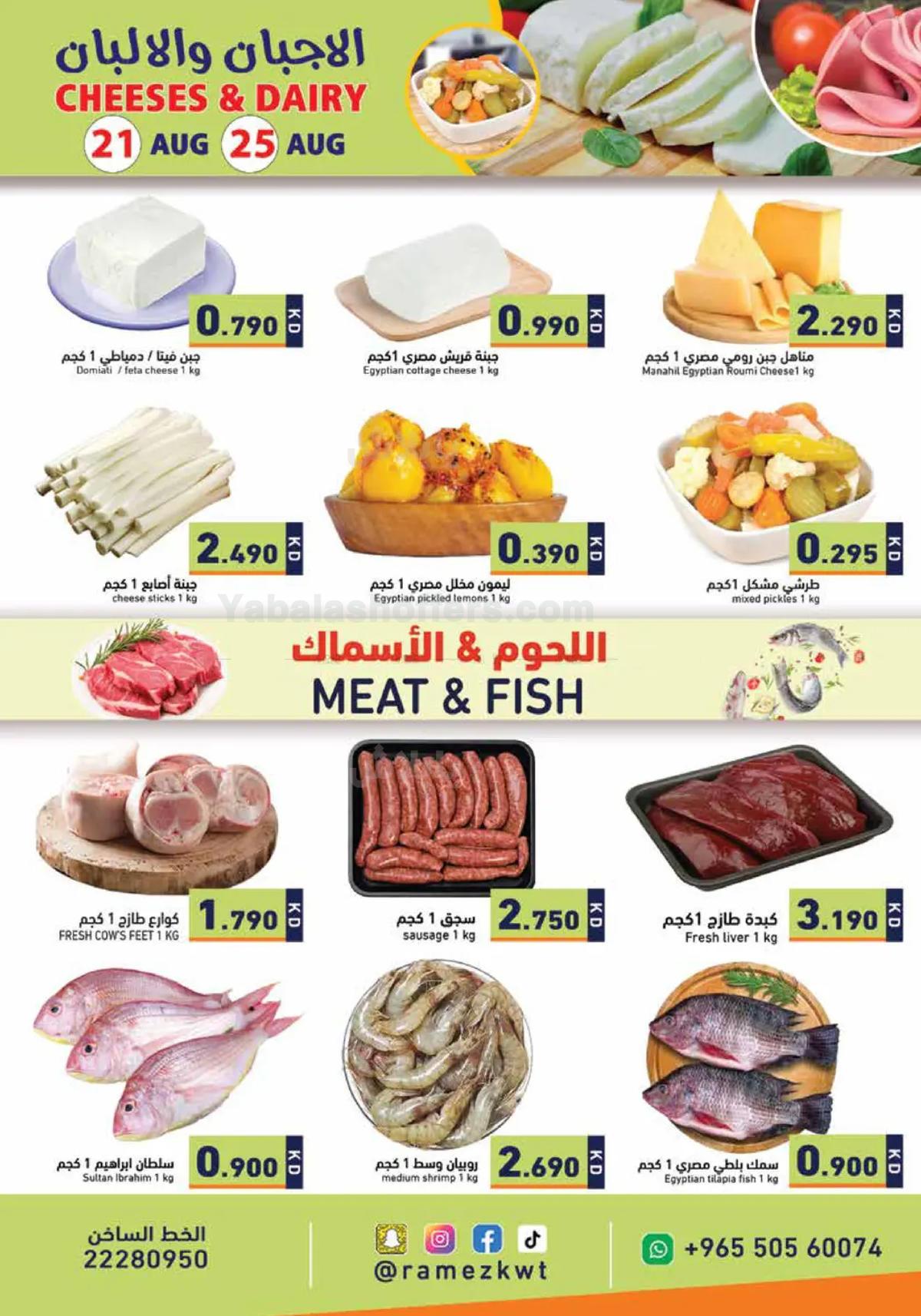 صفحة 1