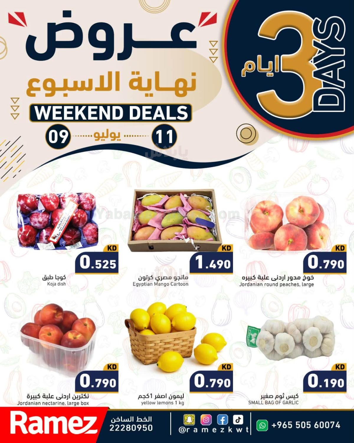 صفحة 1