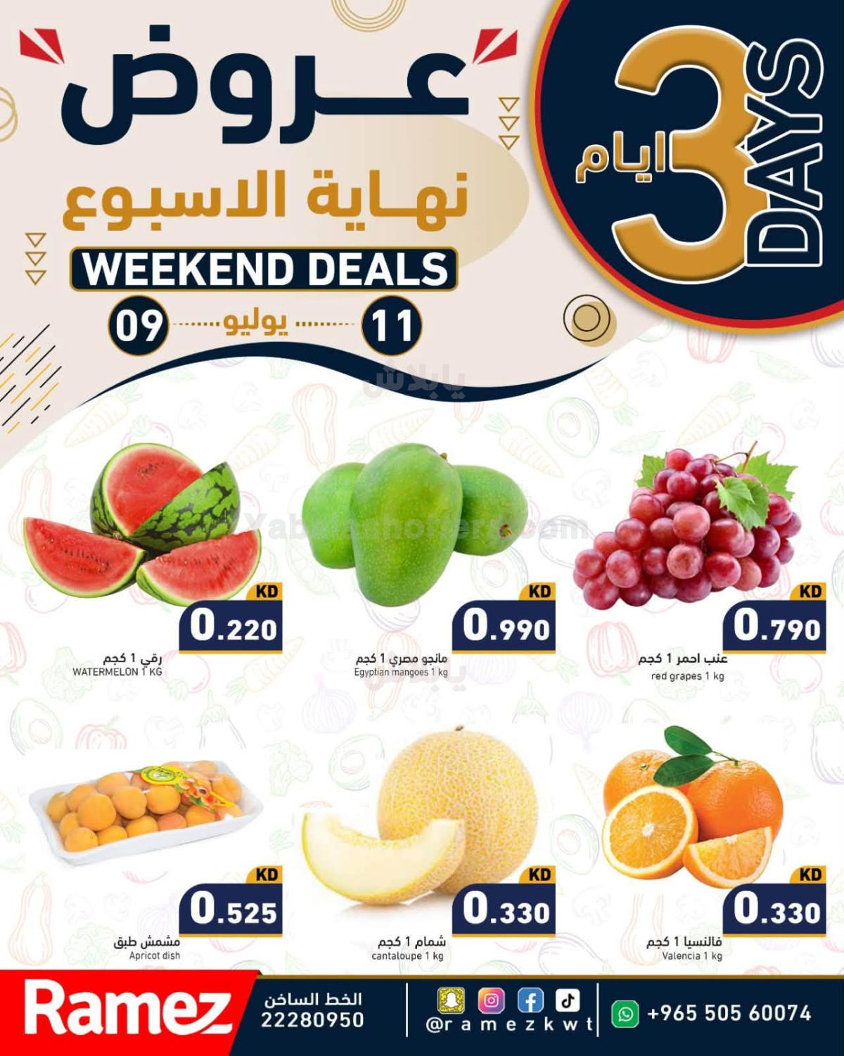 صفحة 3