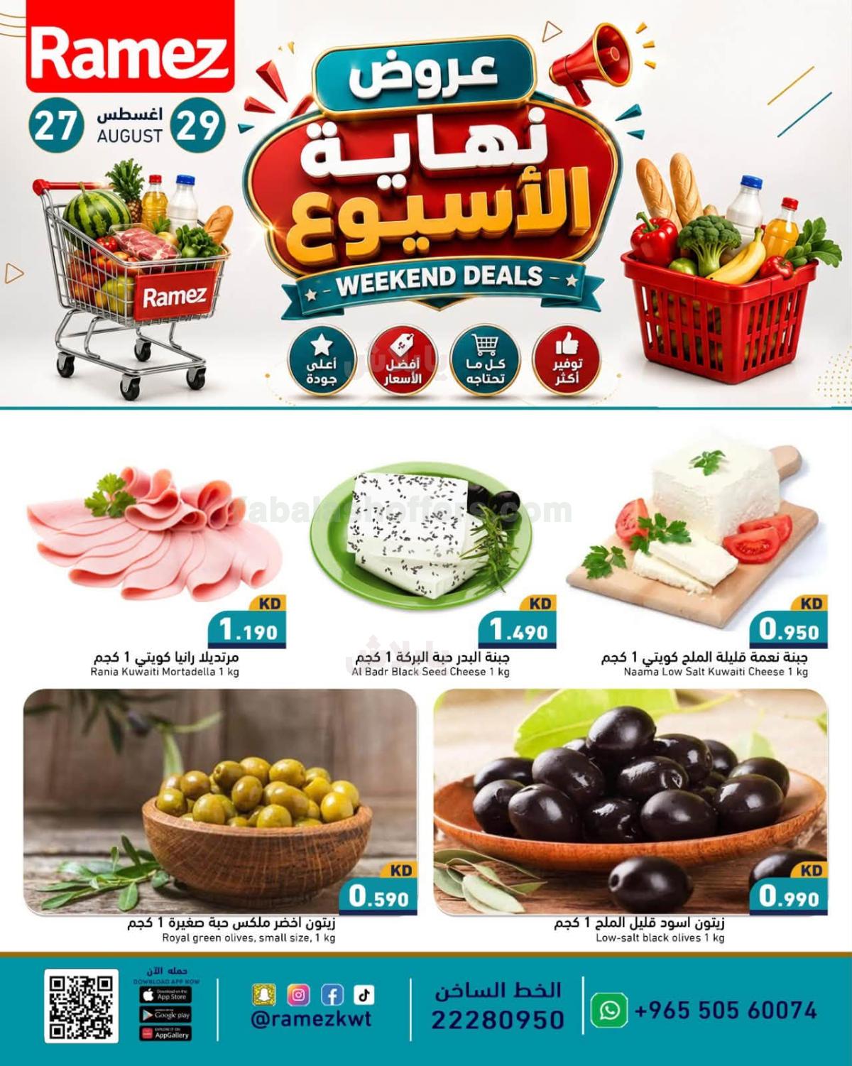 صفحة 3