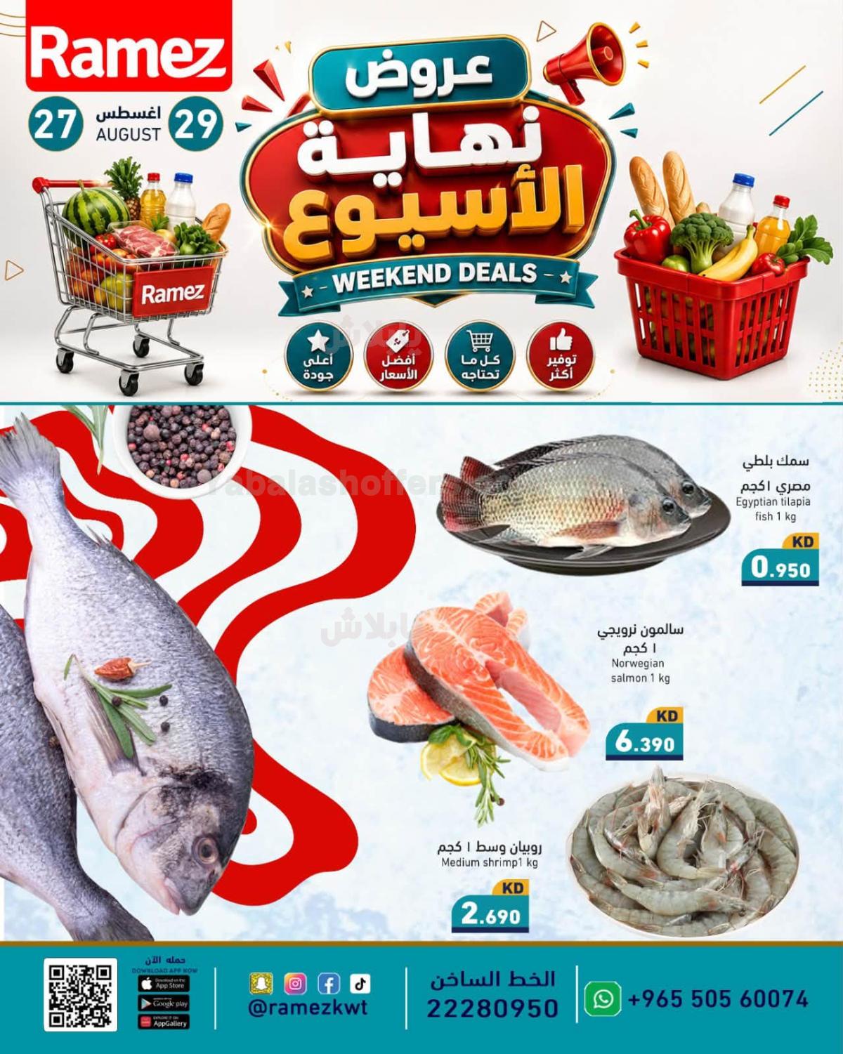 صفحة 6