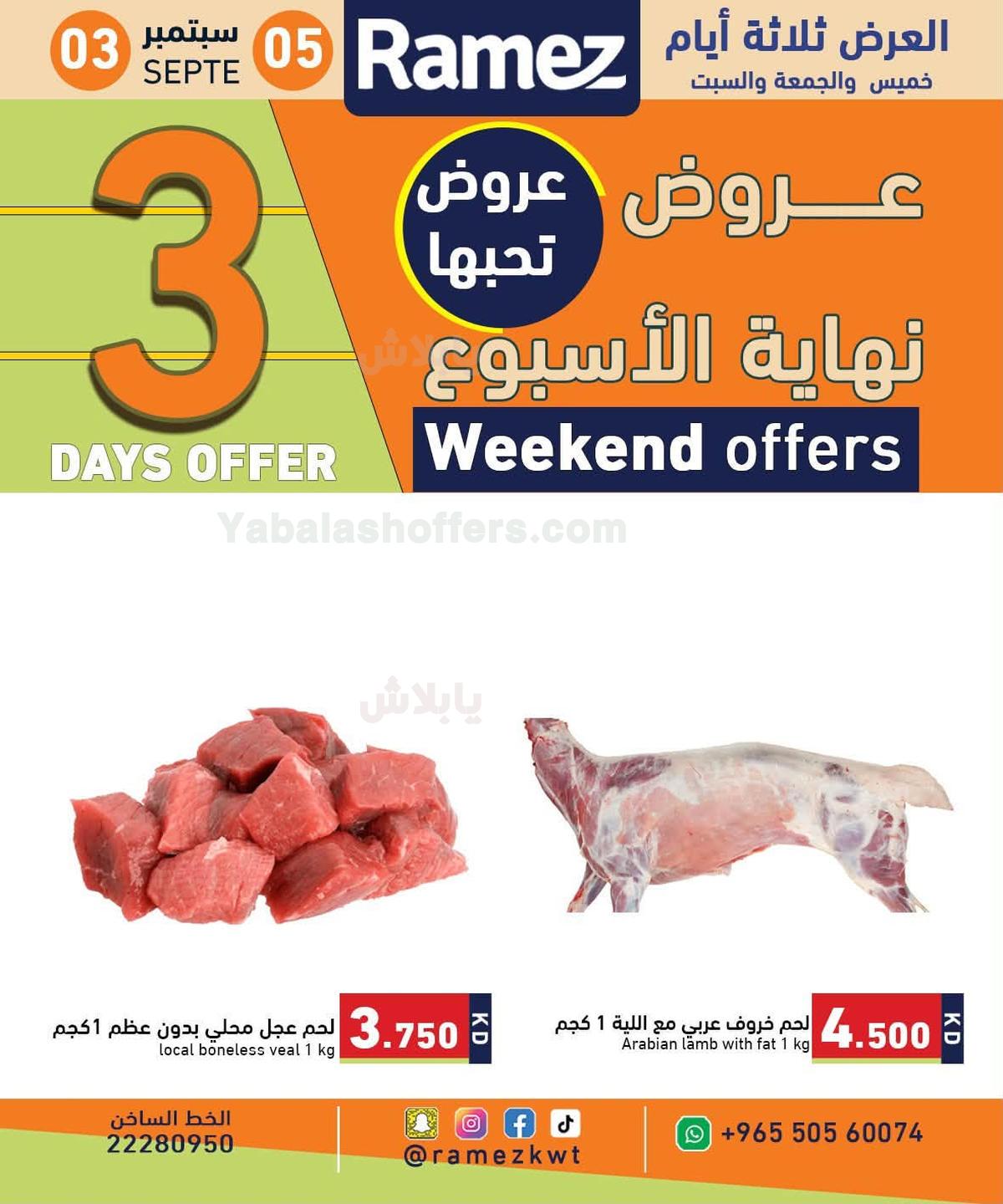 صفحة 4