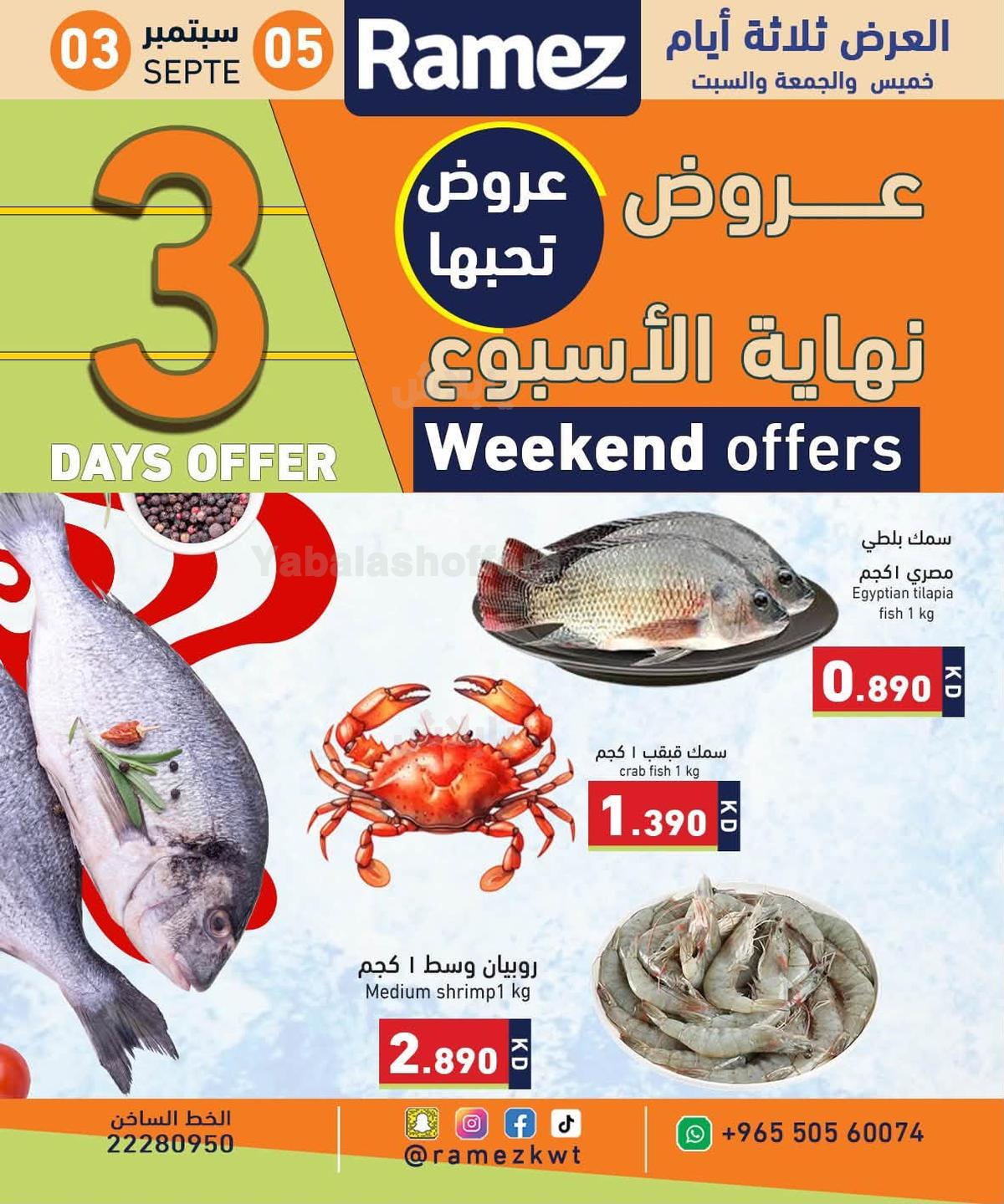 صفحة 6