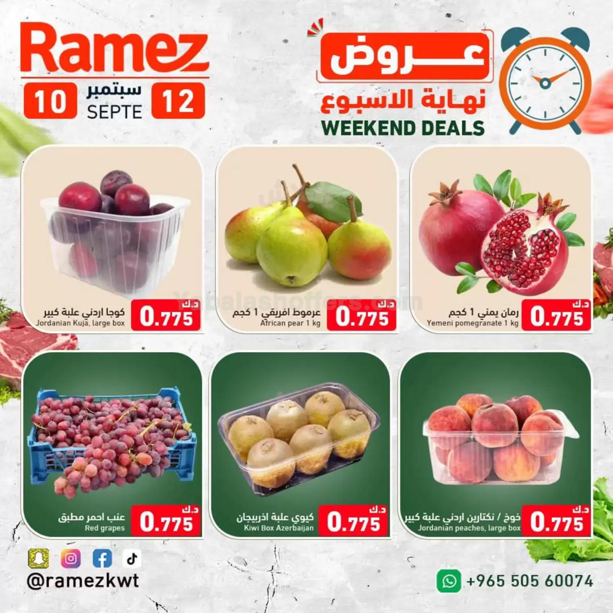 صفحة 2