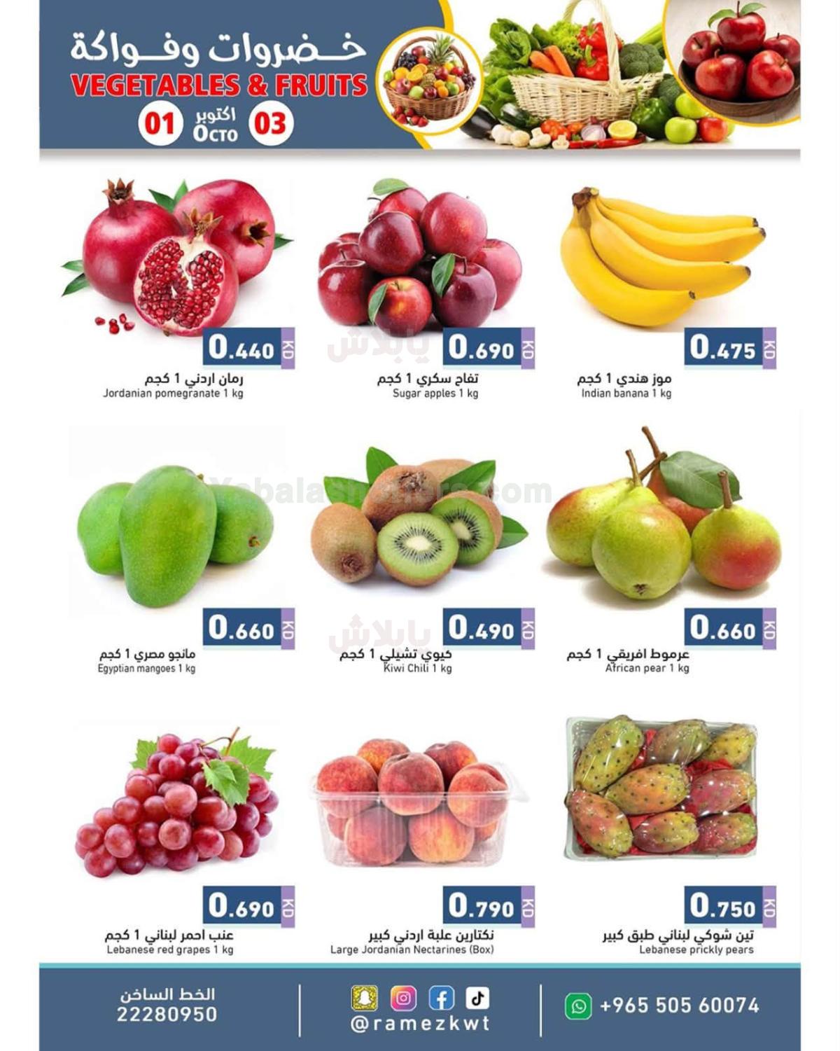صفحة 2