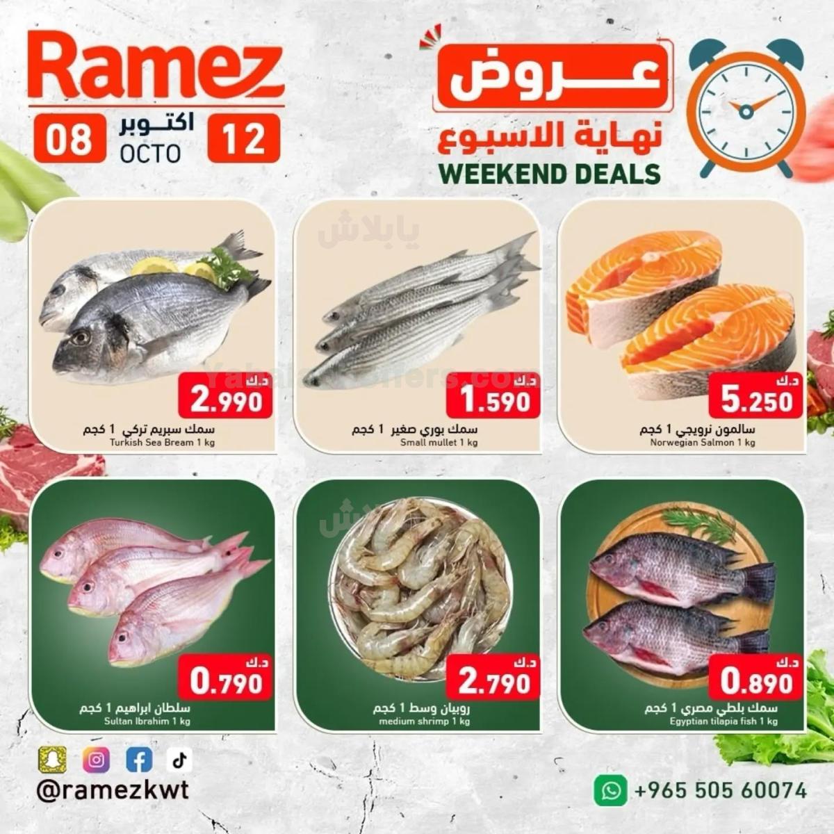 صفحة 5