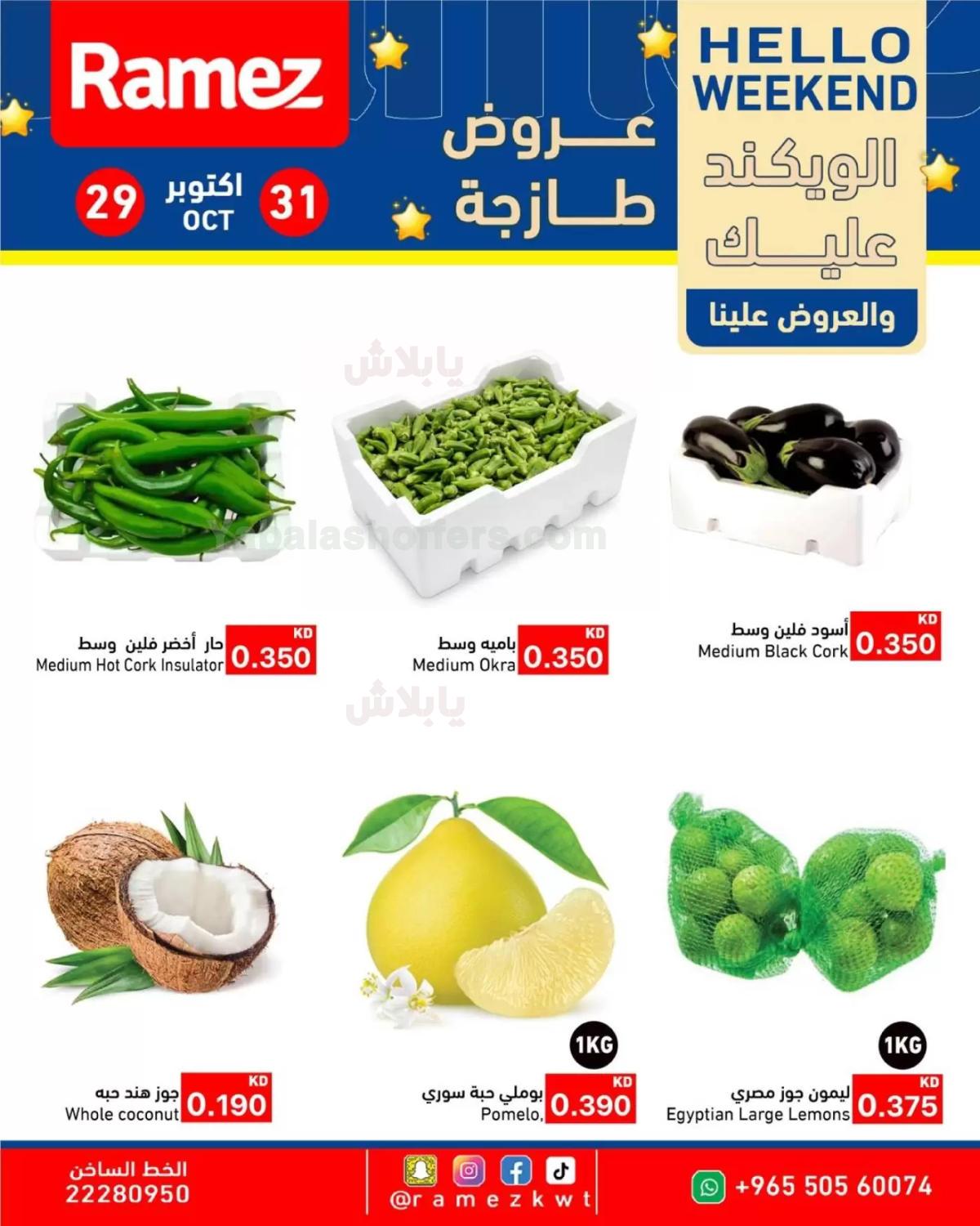 صفحة 3