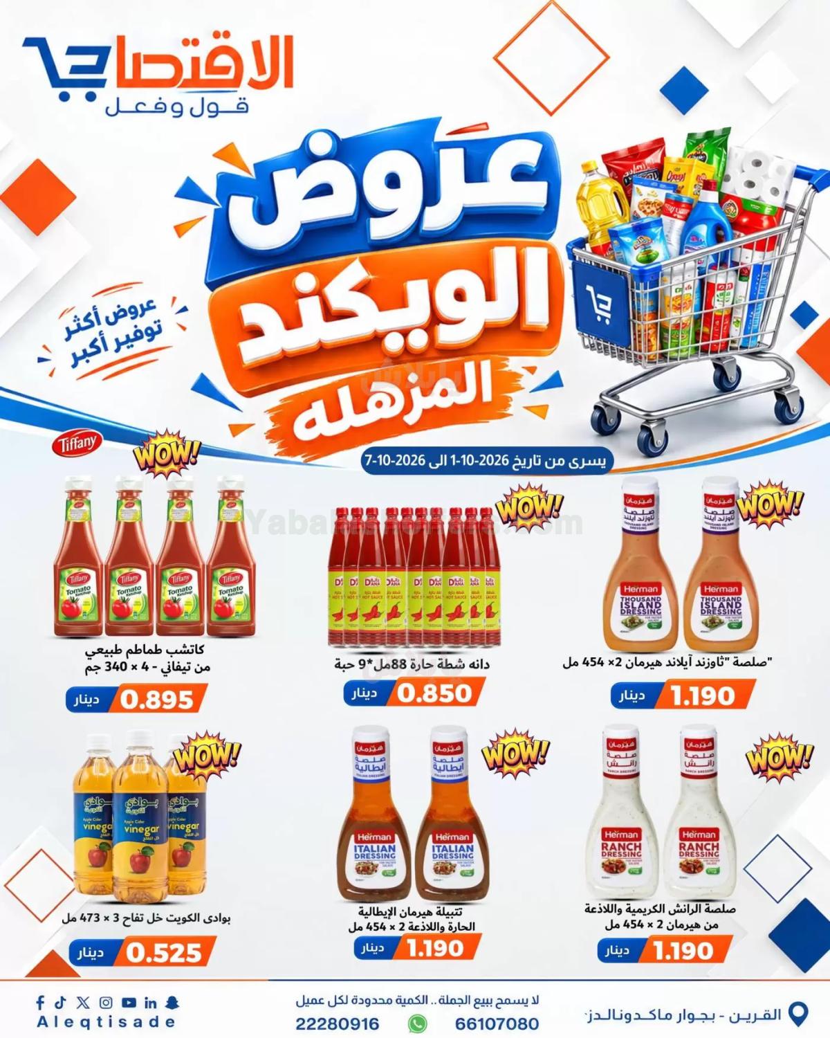 صفحة 11