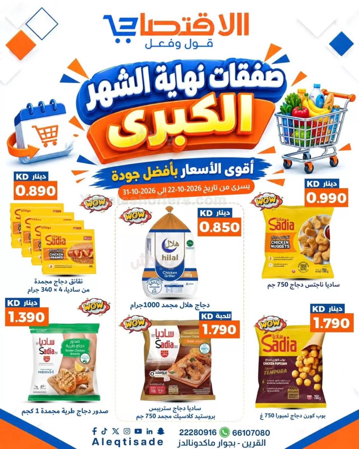 صفحة 3