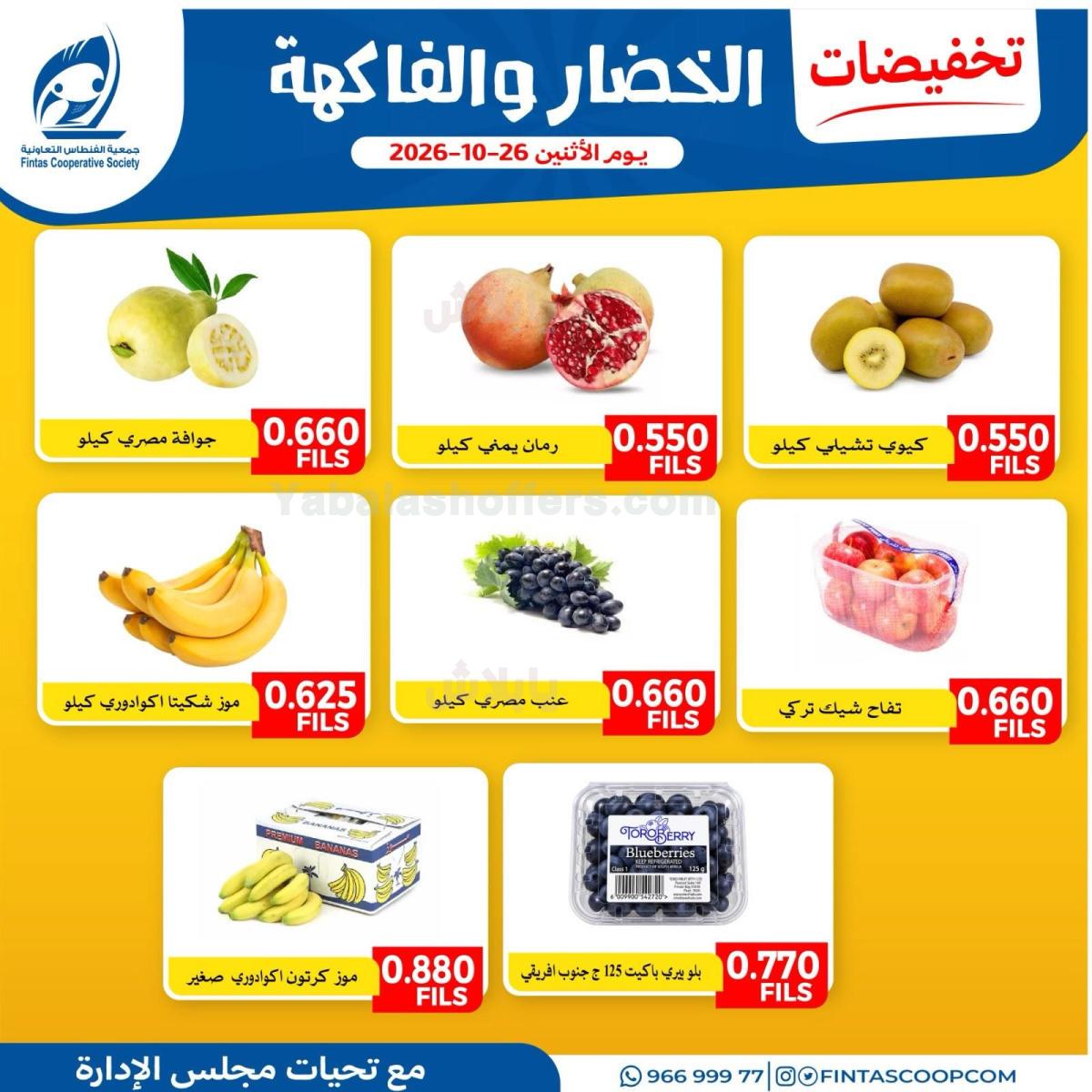 صفحة 3