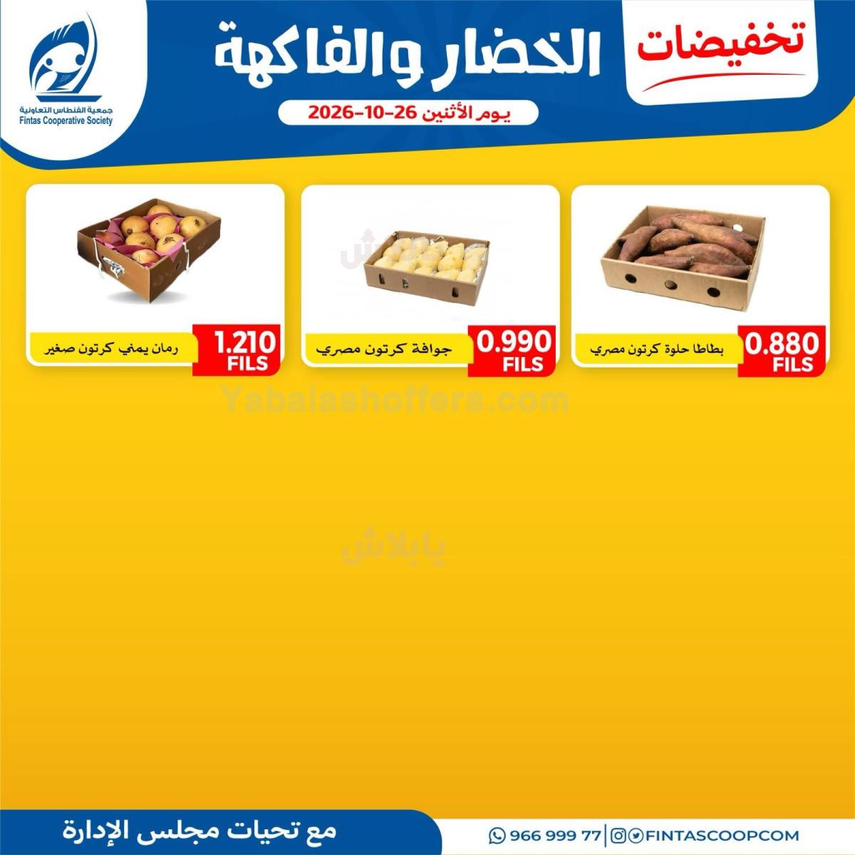 صفحة 5
