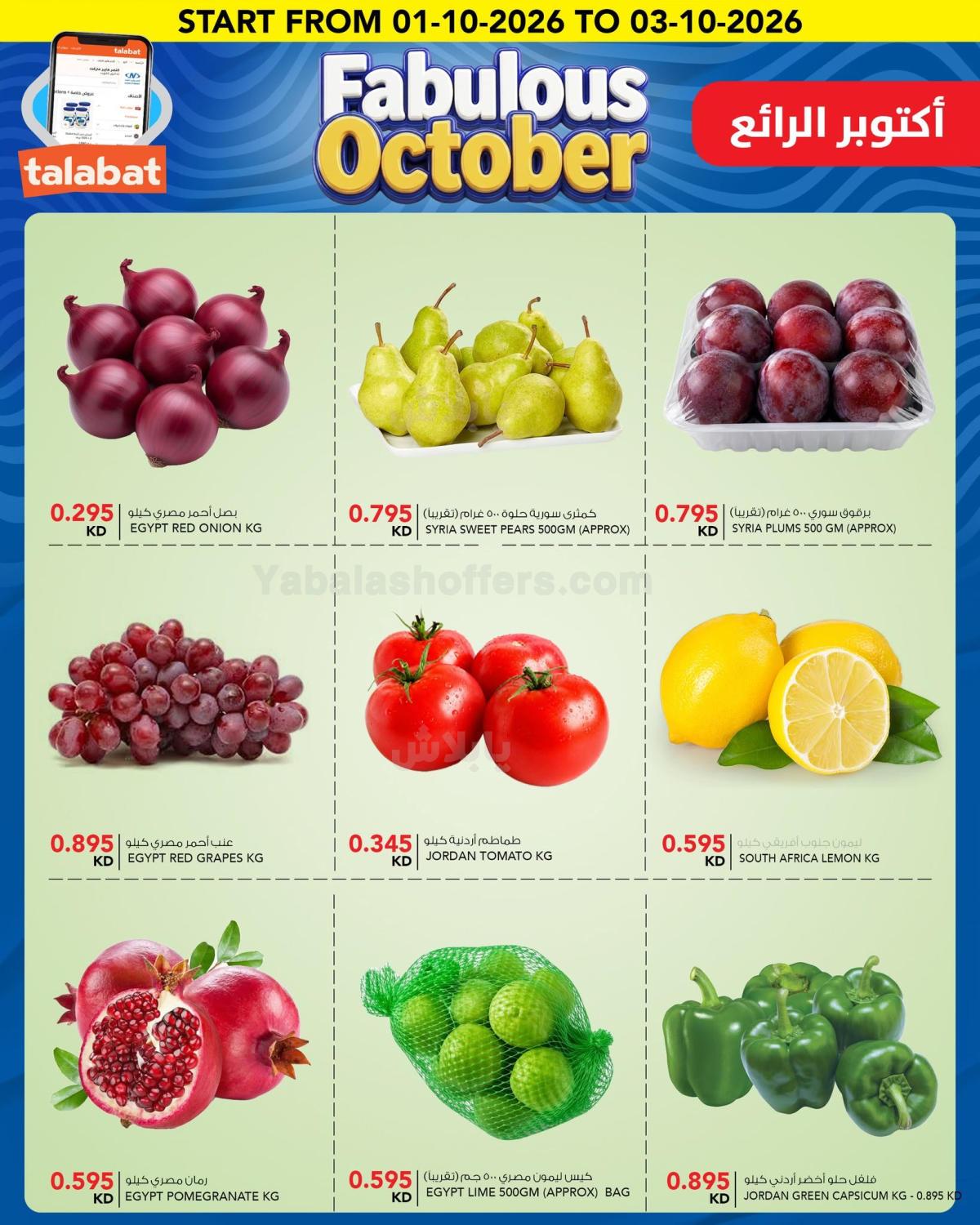 صفحة 3