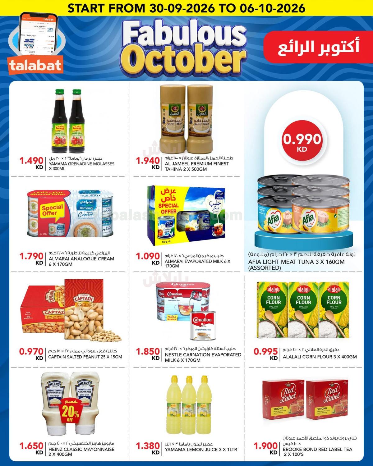 صفحة 4