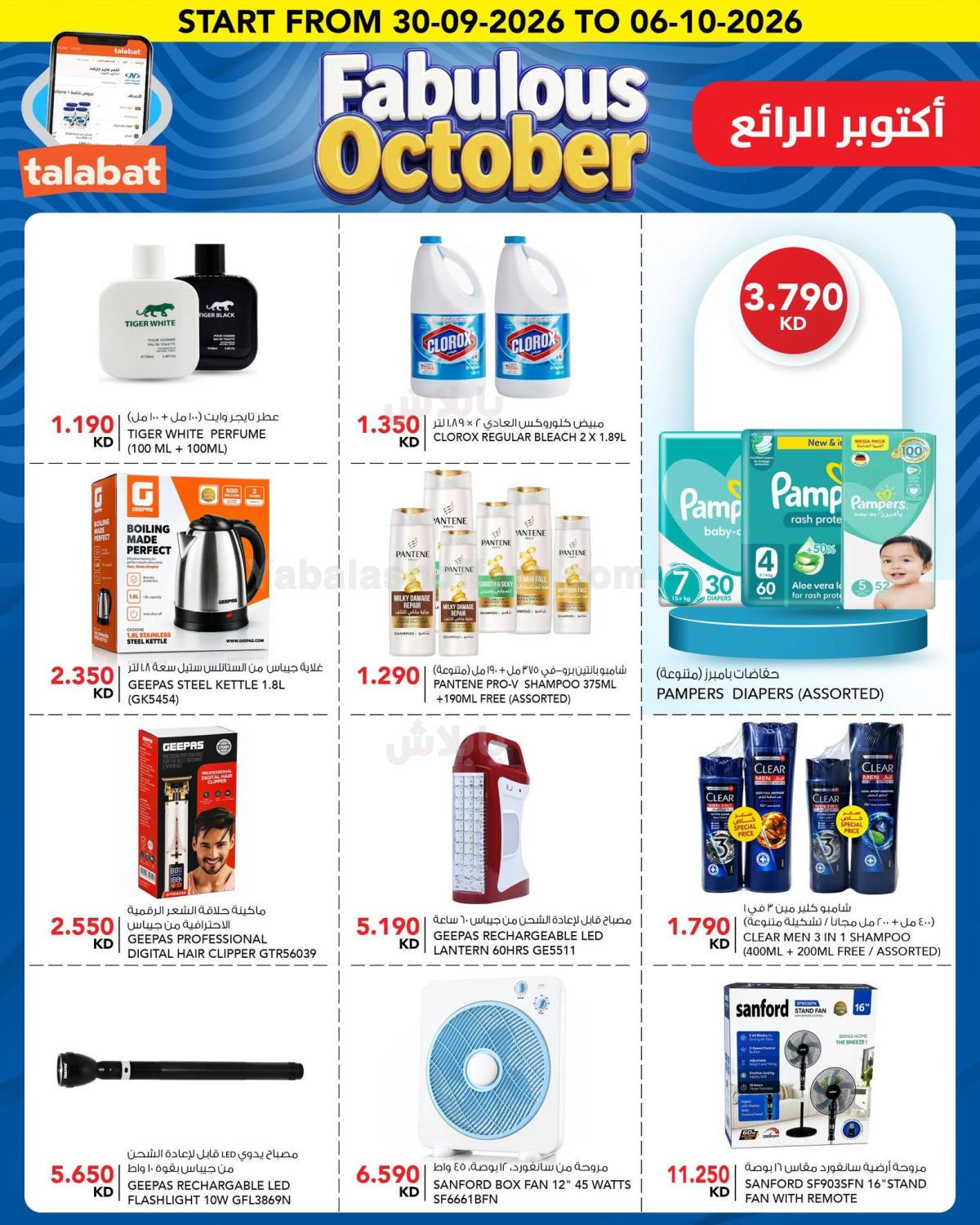 صفحة 10