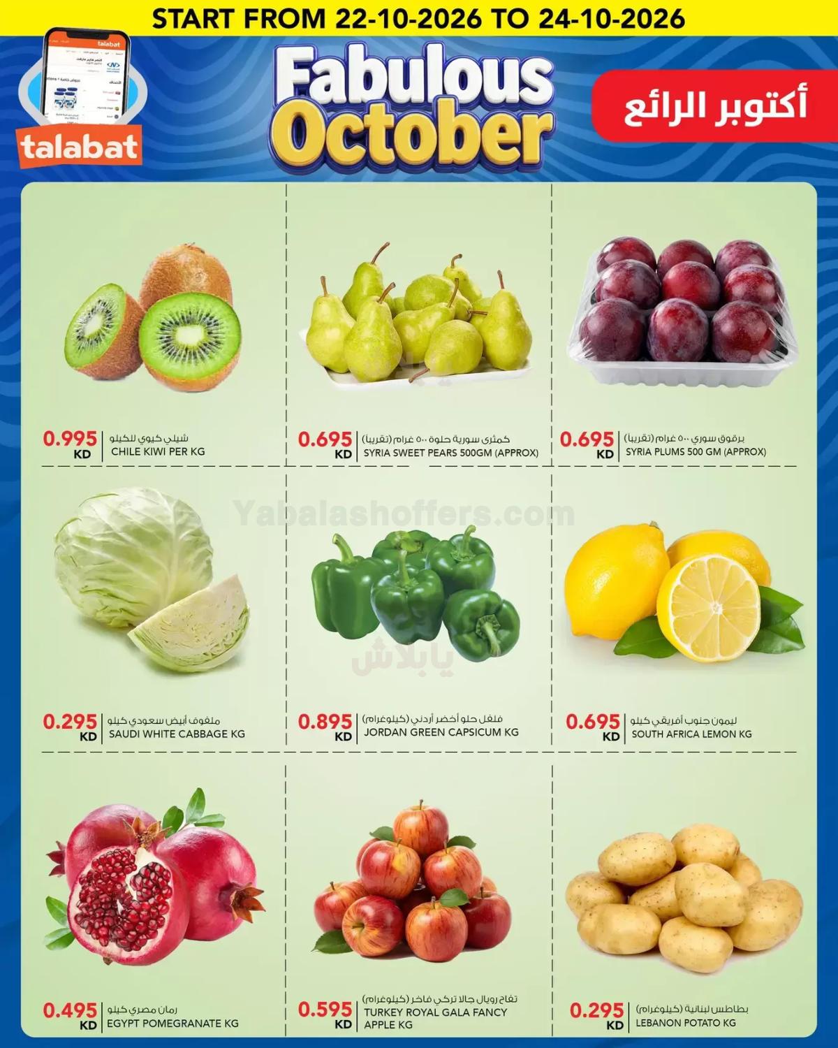صفحة 3