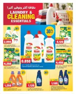 صفحة 19