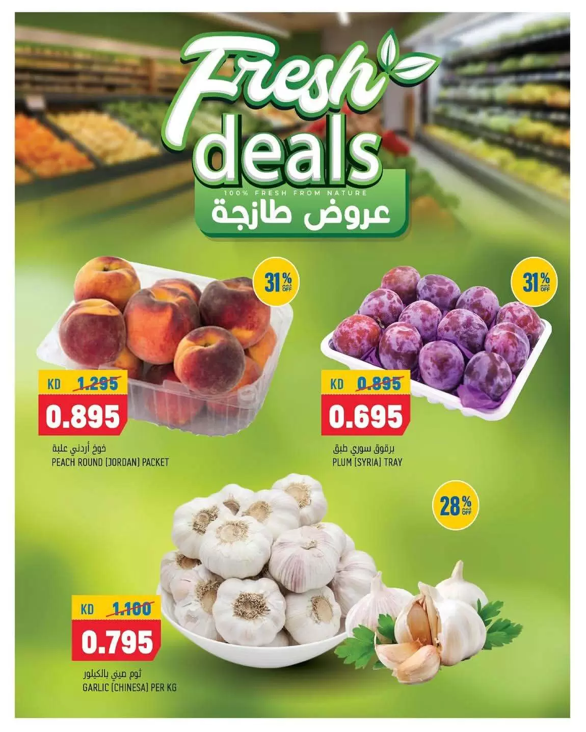 صفحة 2