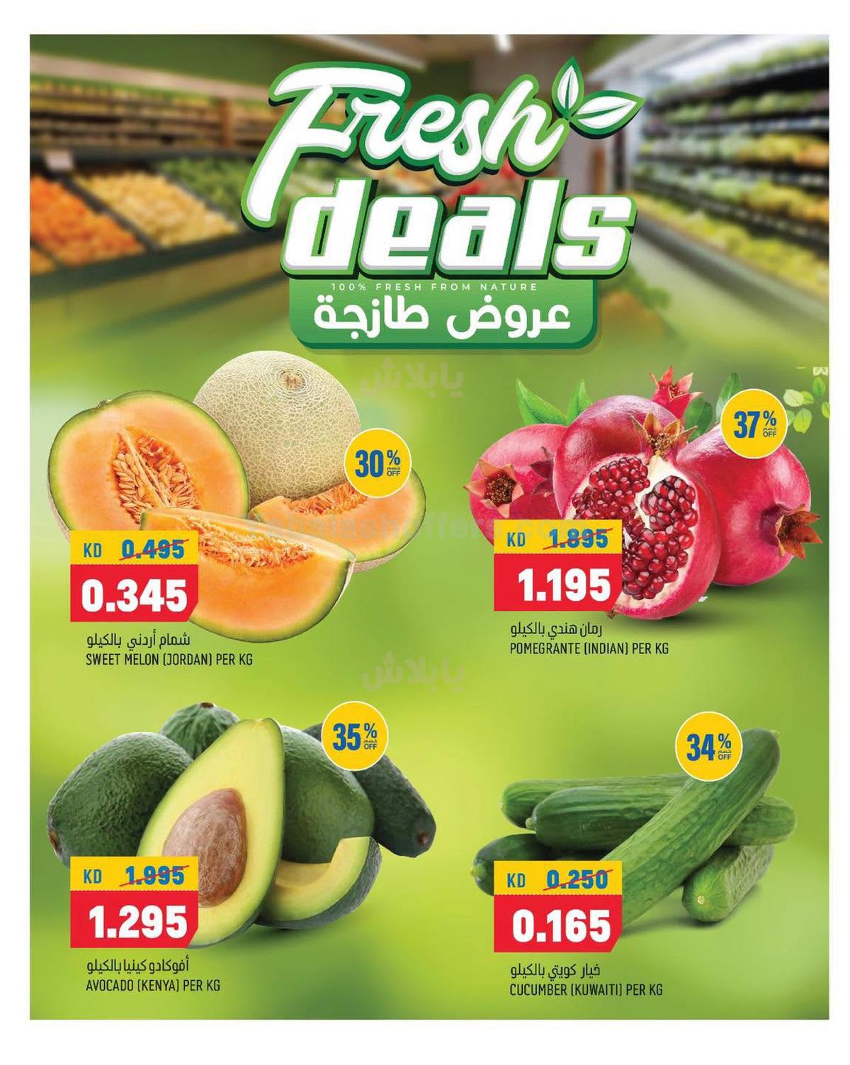 صفحة 2