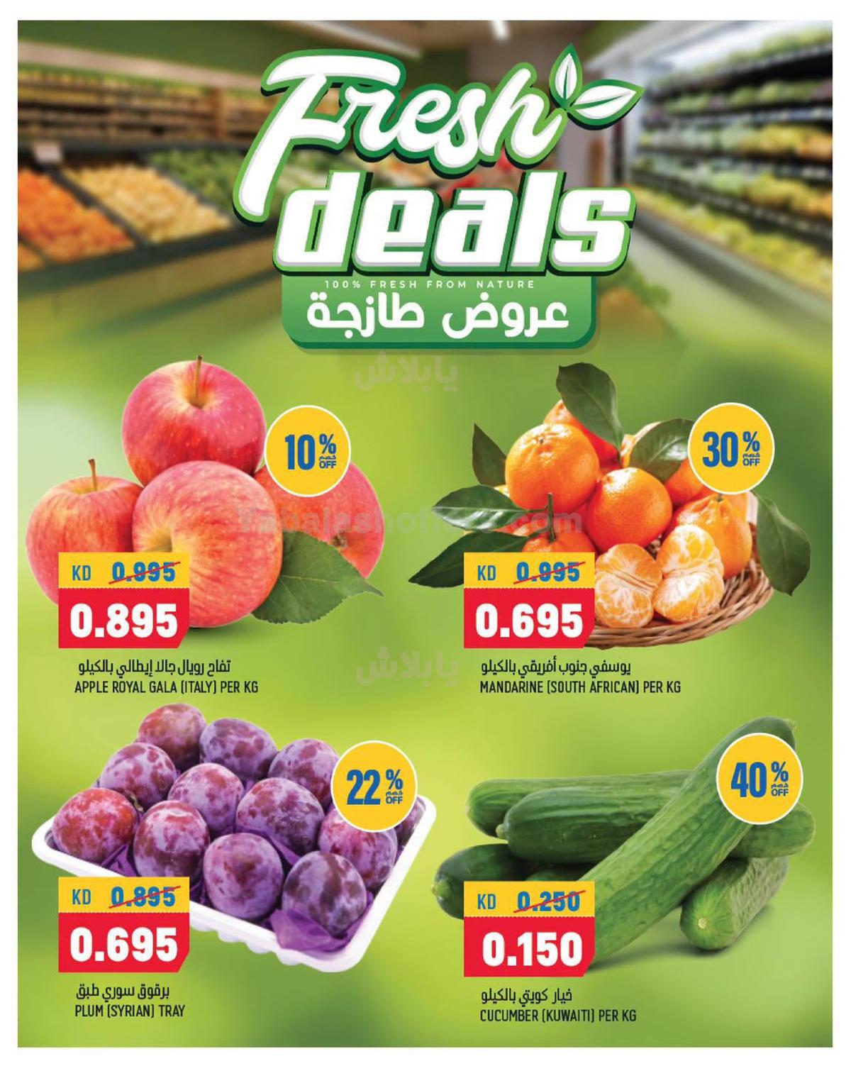 صفحة 2