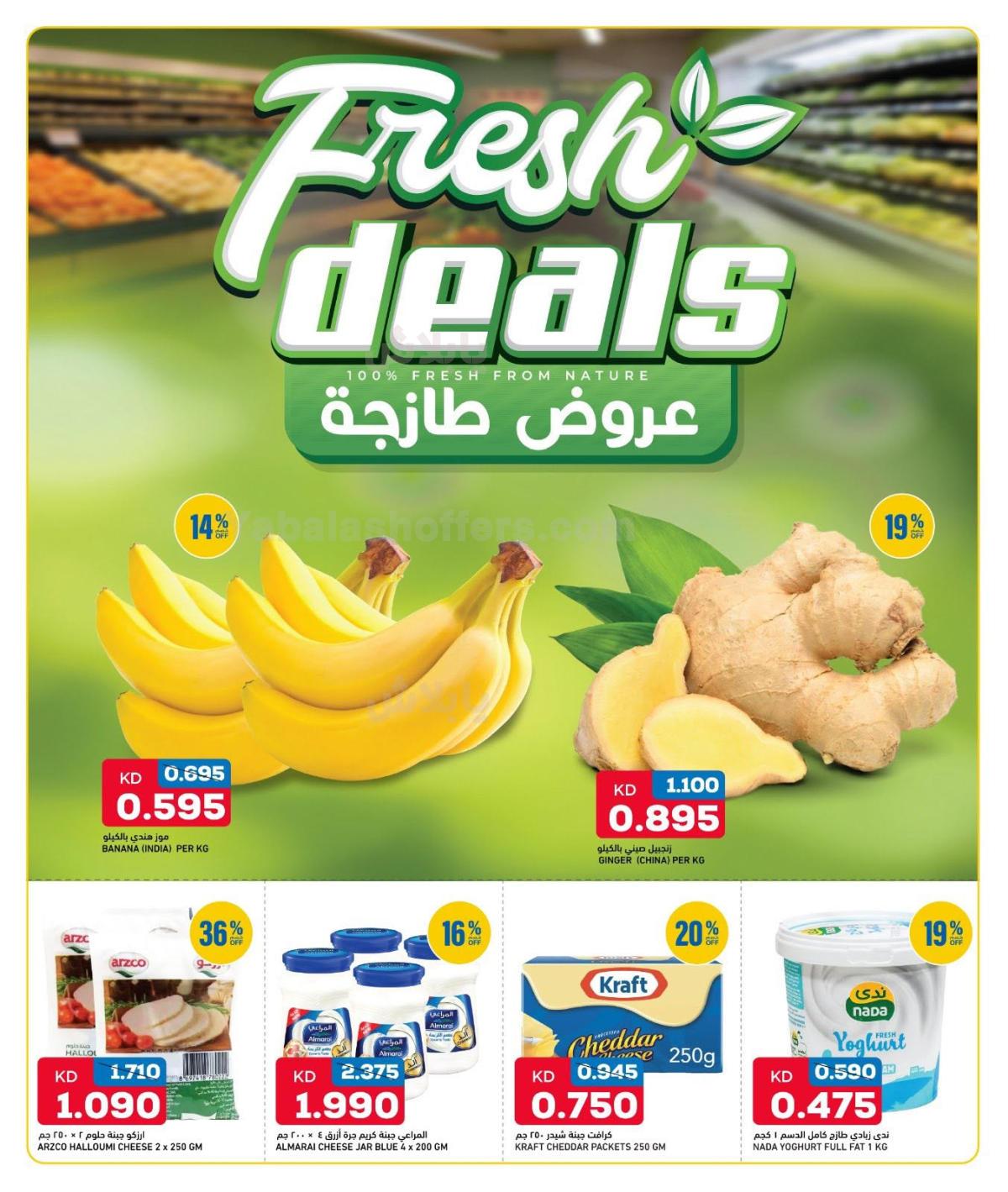صفحة 2
