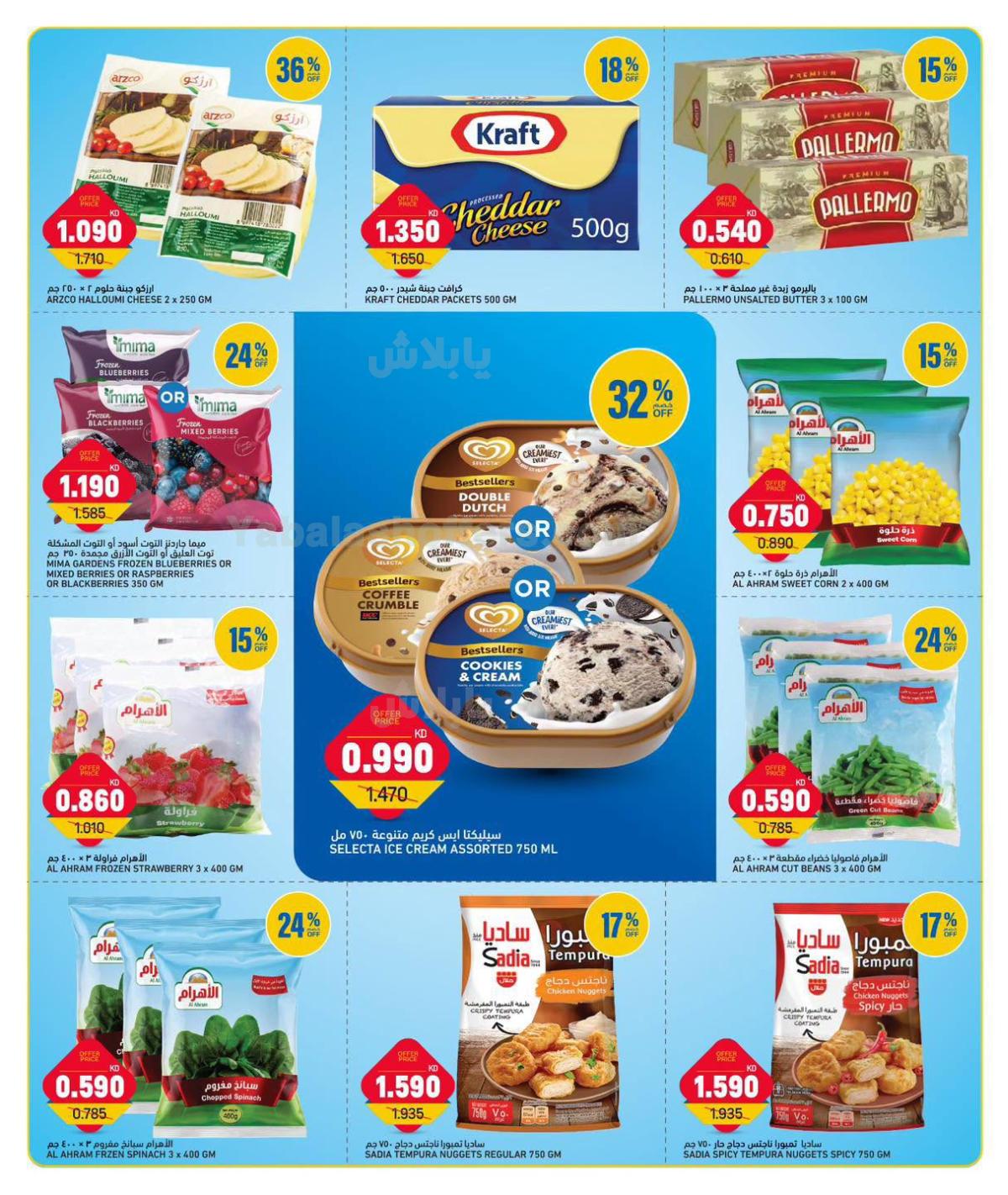 صفحة 3
