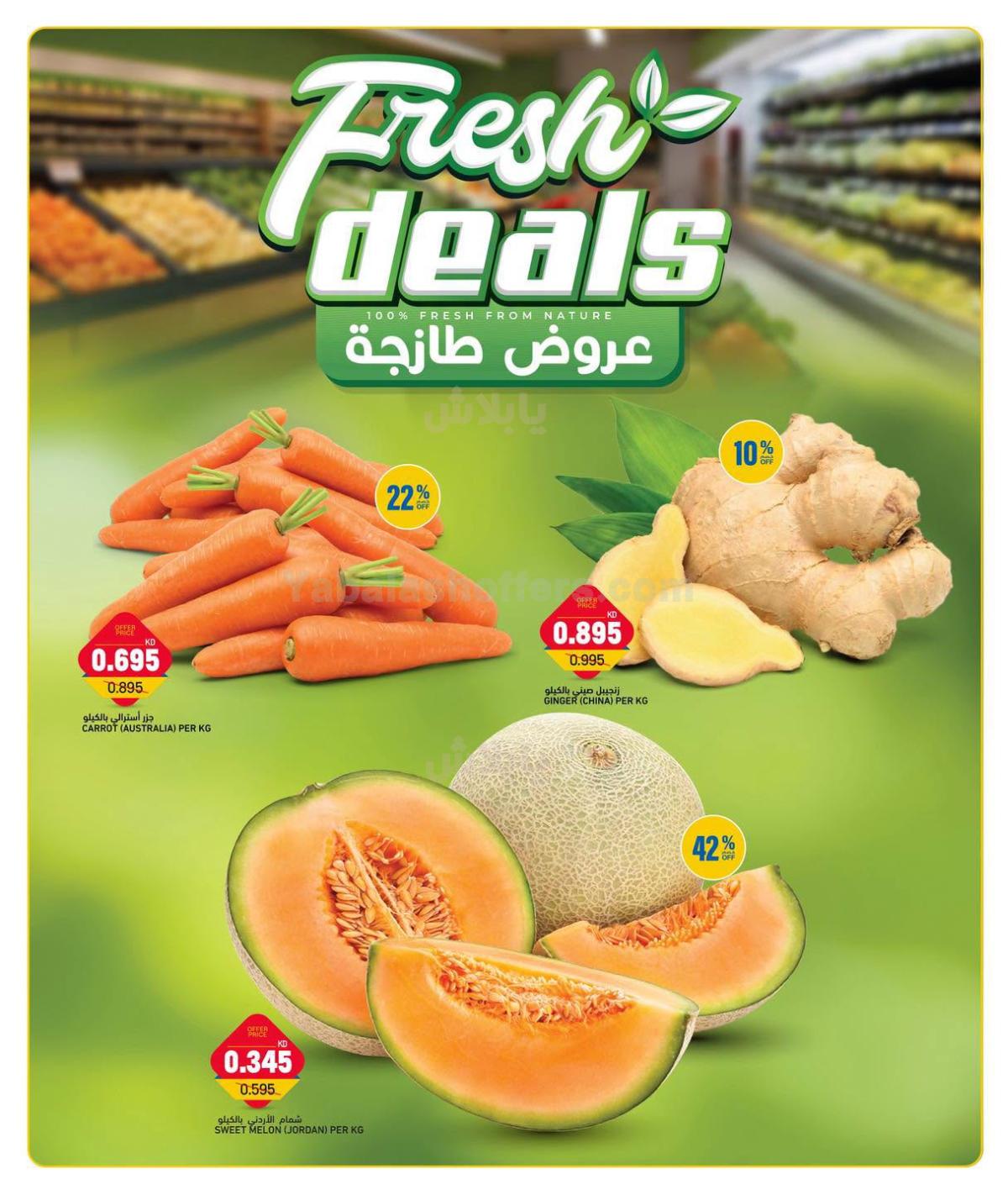 صفحة 2