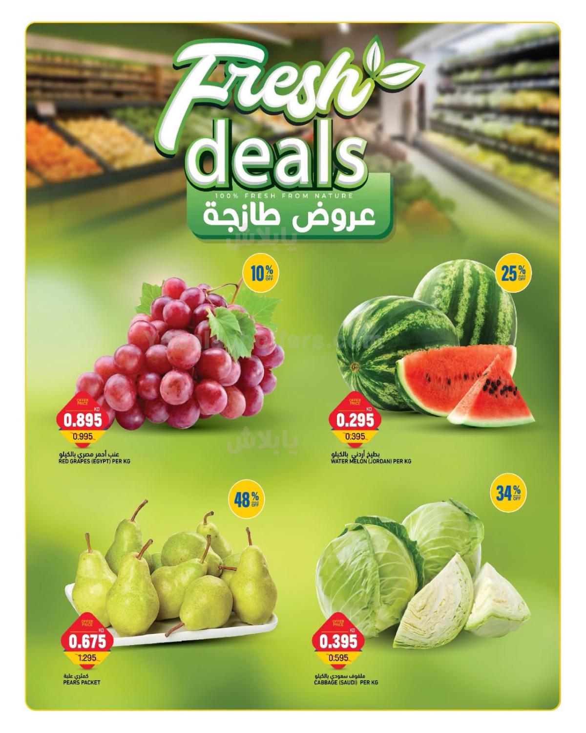 صفحة 2