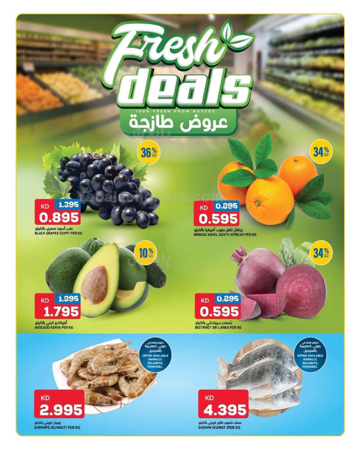 صفحة 2