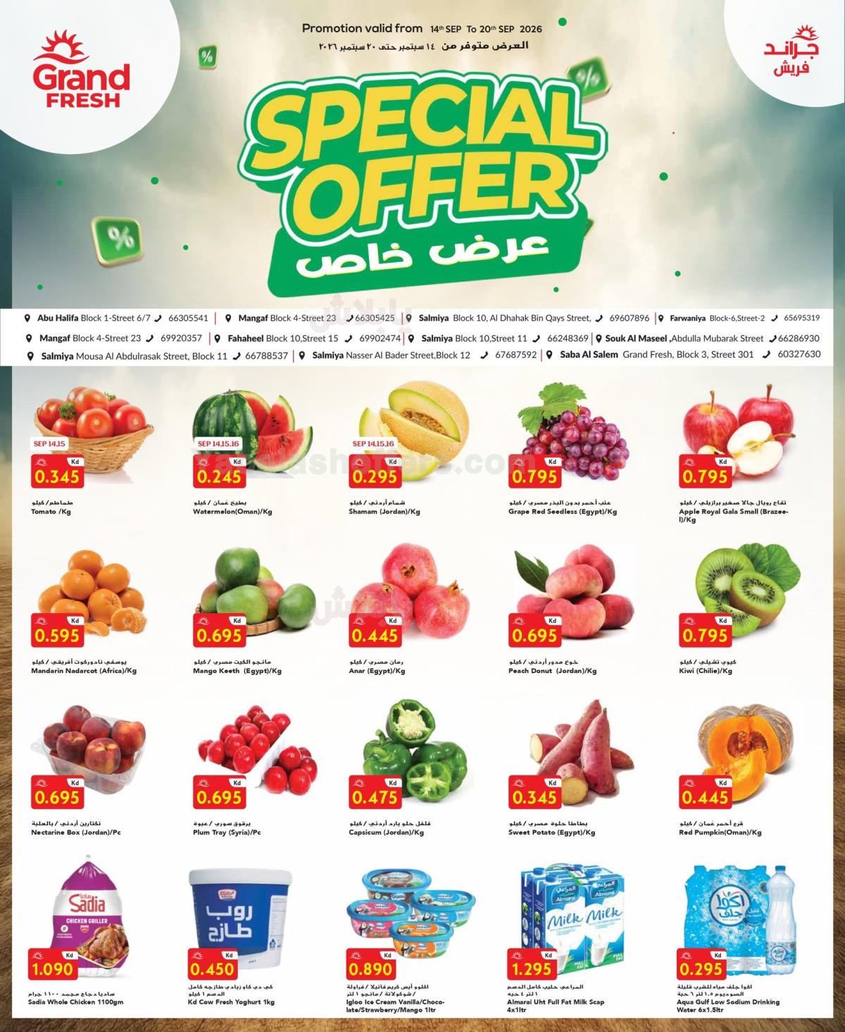 صفحة 1