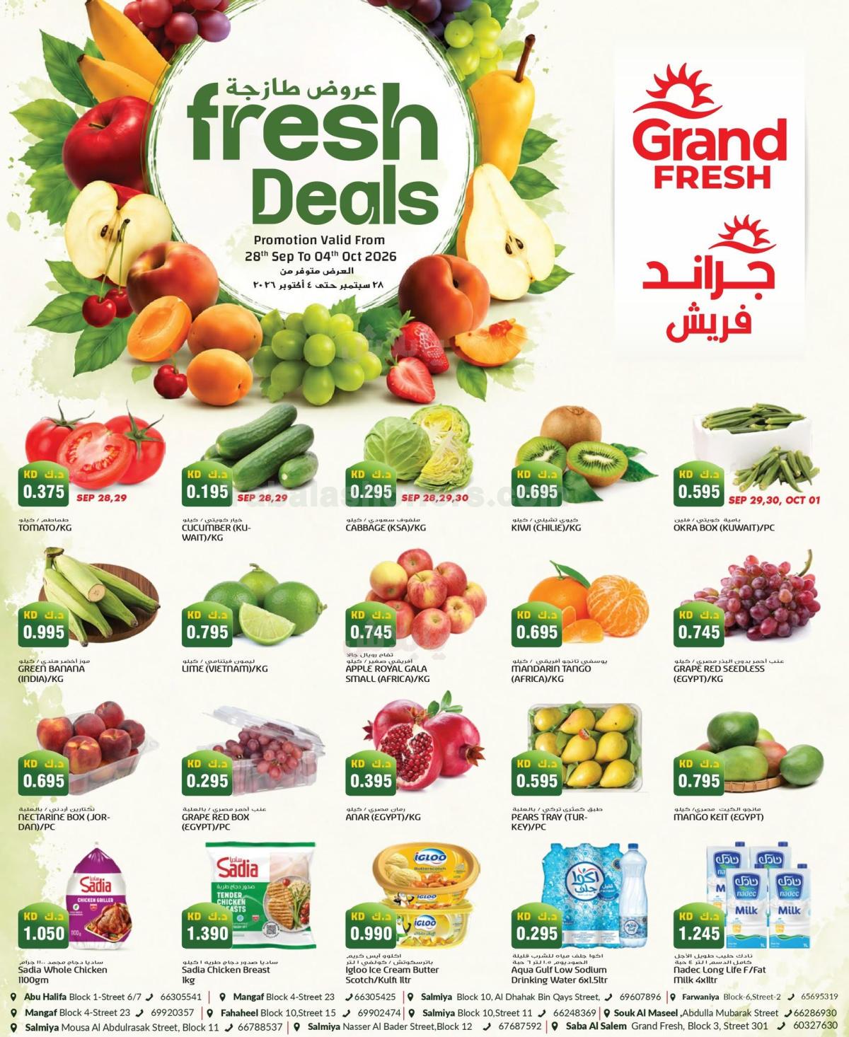 صفحة 1