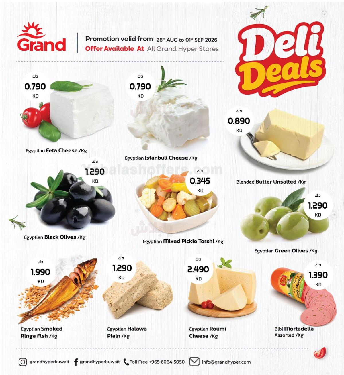صفحة 1