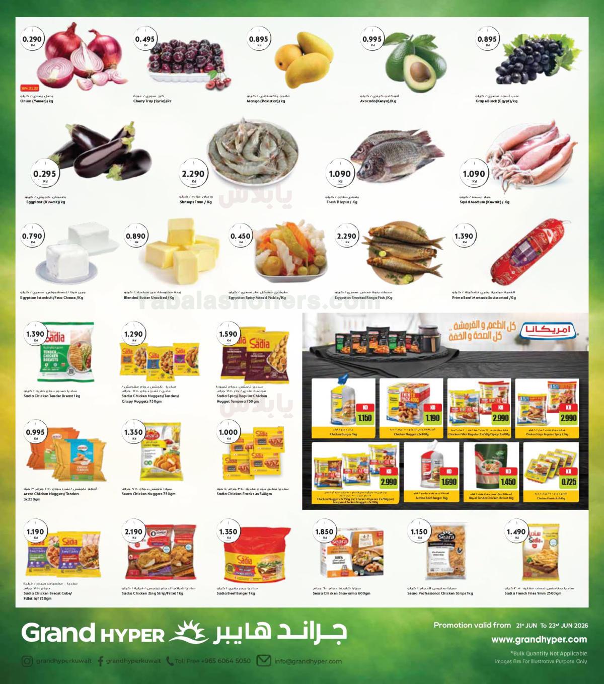 صفحة 3
