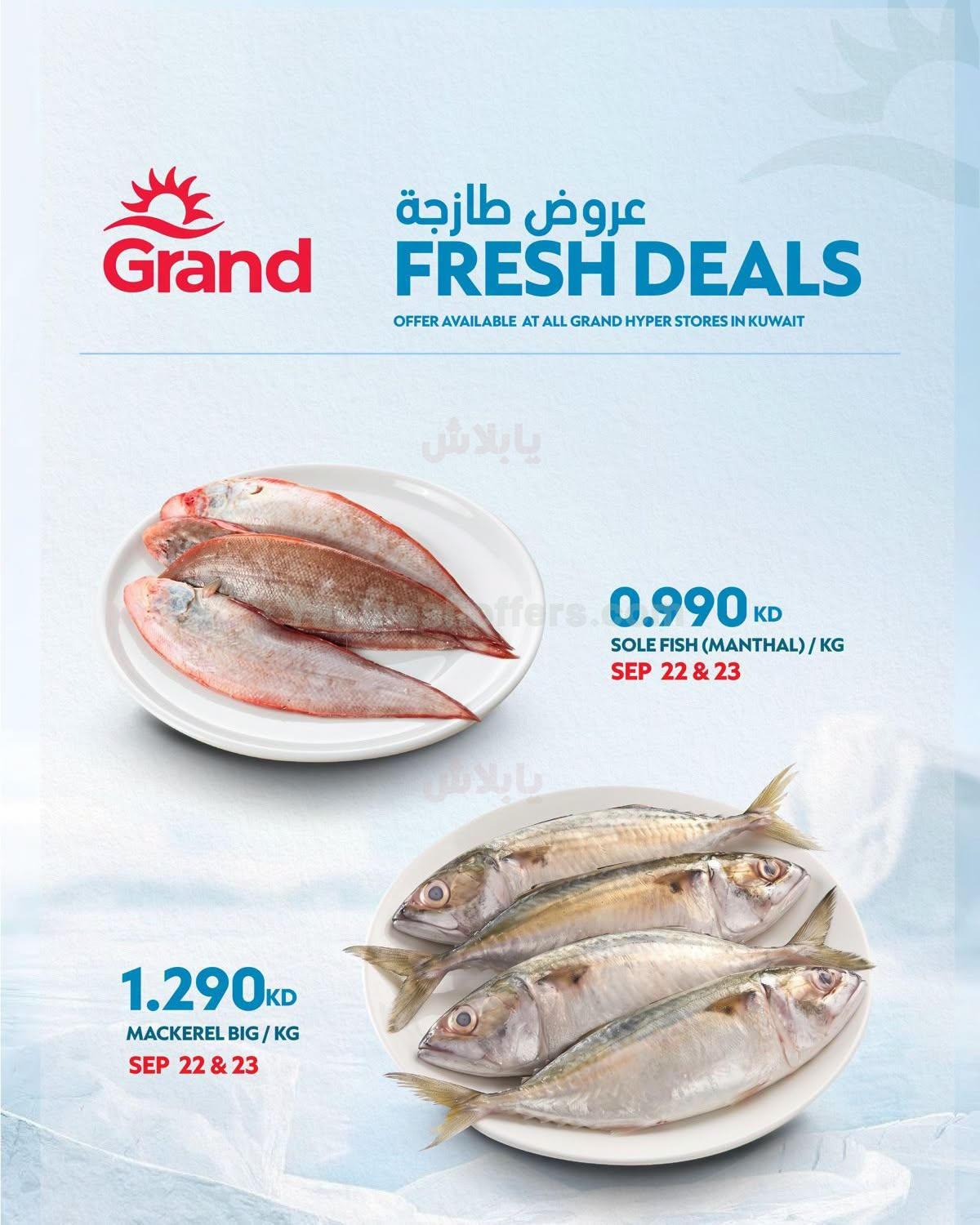 صفحة 1