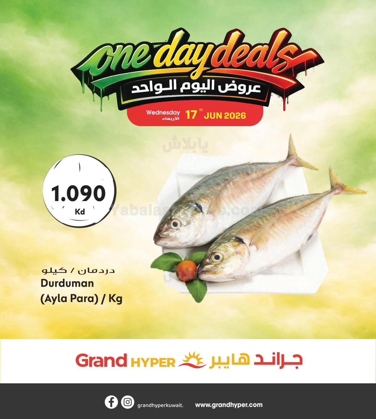 صفحة 2