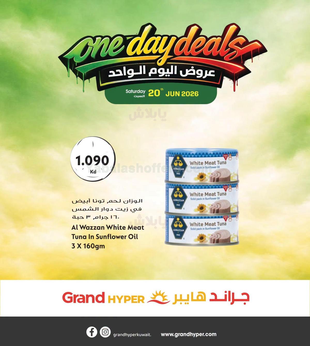 صفحة 3