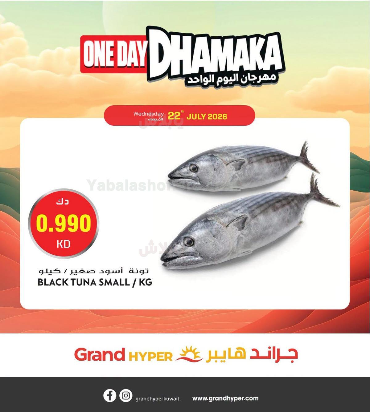 صفحة 2