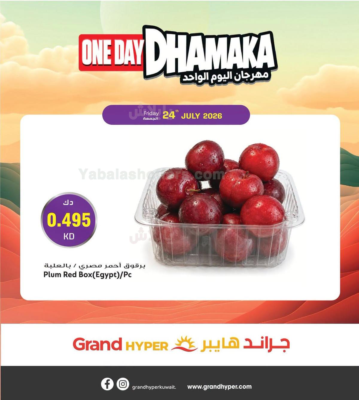 صفحة 4