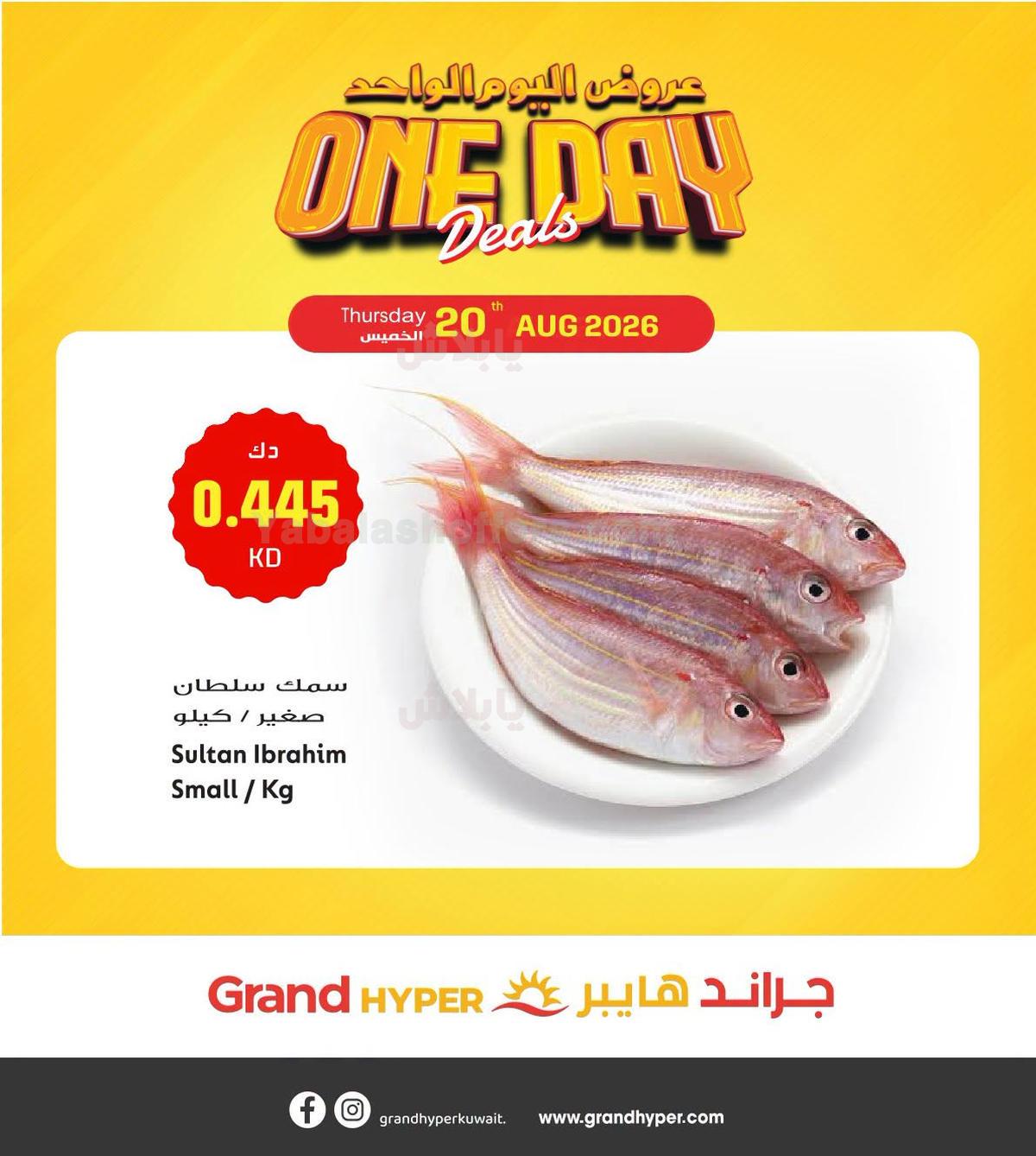 صفحة 6