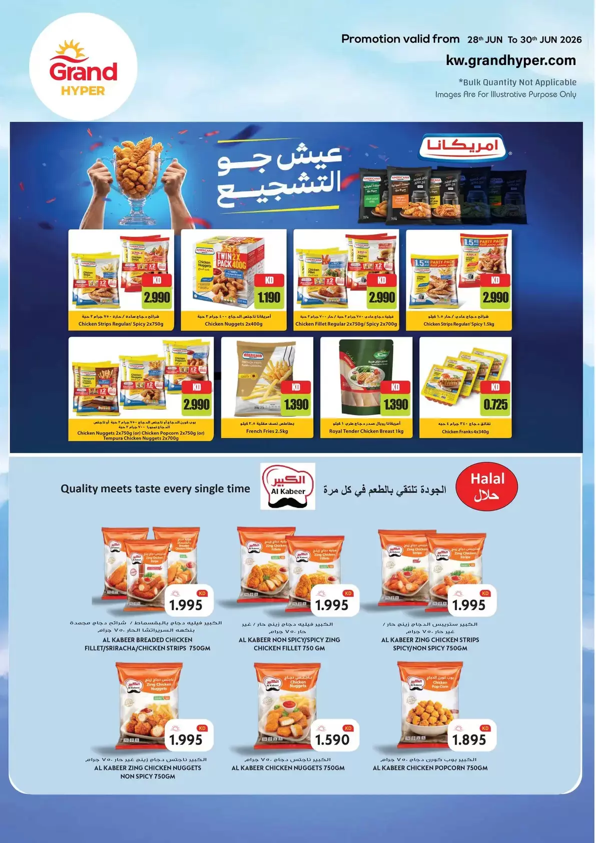 صفحة 7