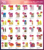 صفحة 13