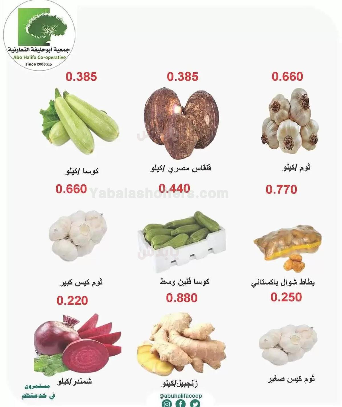 صفحة 4