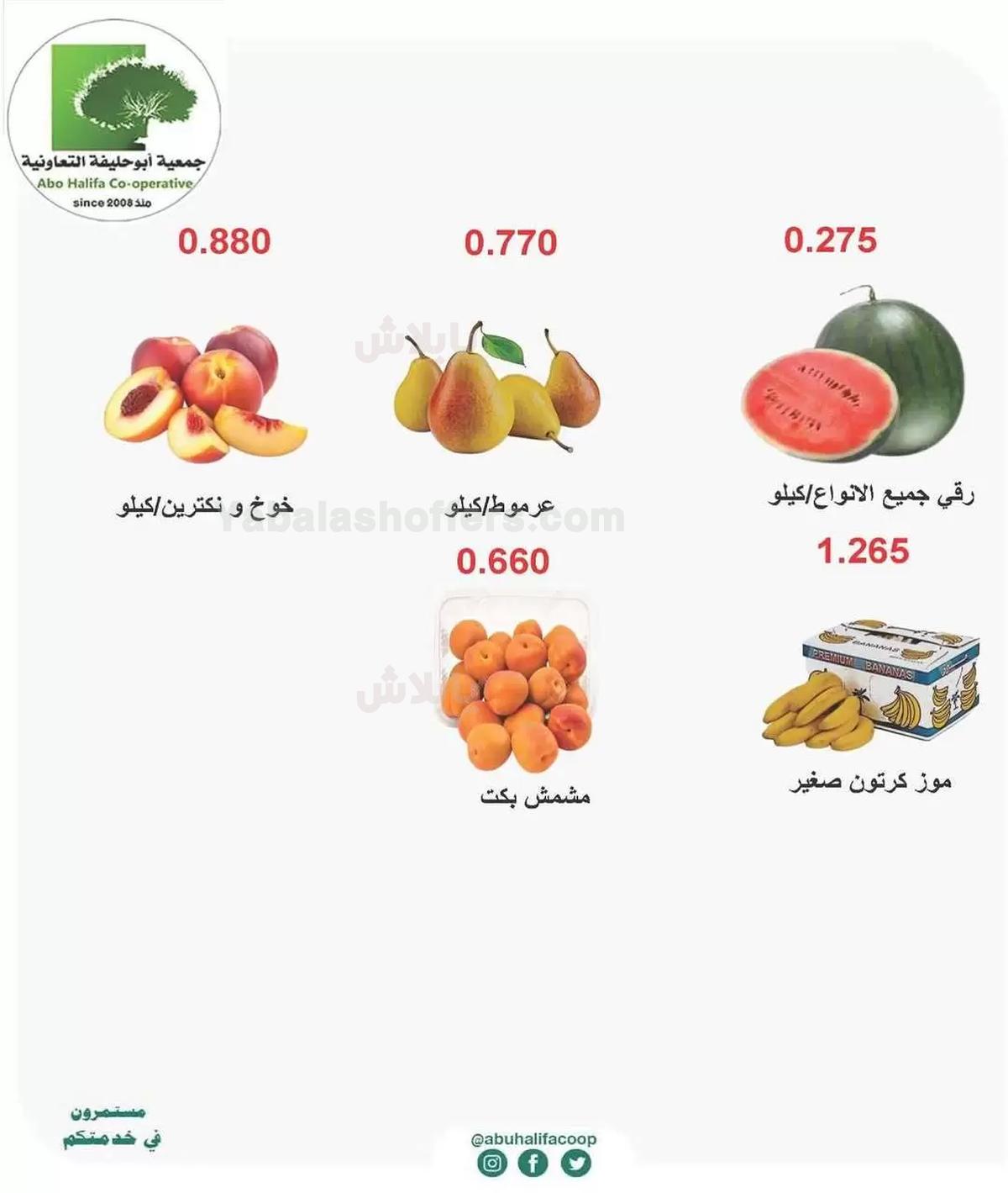 صفحة 5